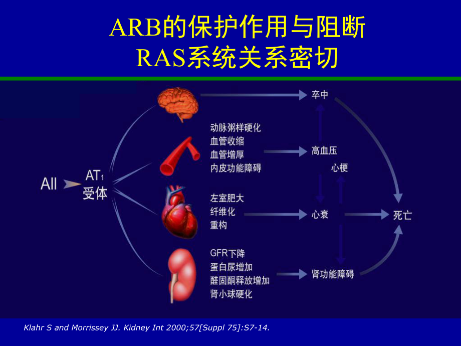 arb治疗糖尿病肾病的循证医学证据课件.ppt_第3页