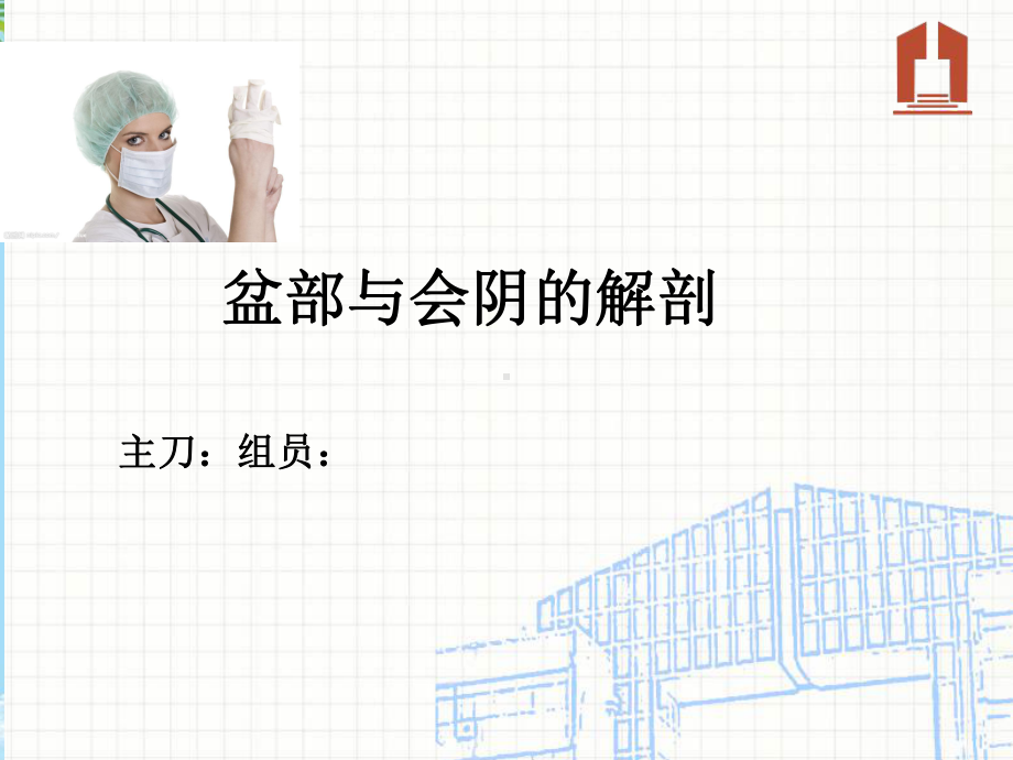 盆腔会阴解剖课件.ppt_第1页