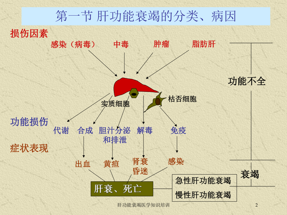 肝功能衰竭医学知识培训培训课件.ppt_第2页