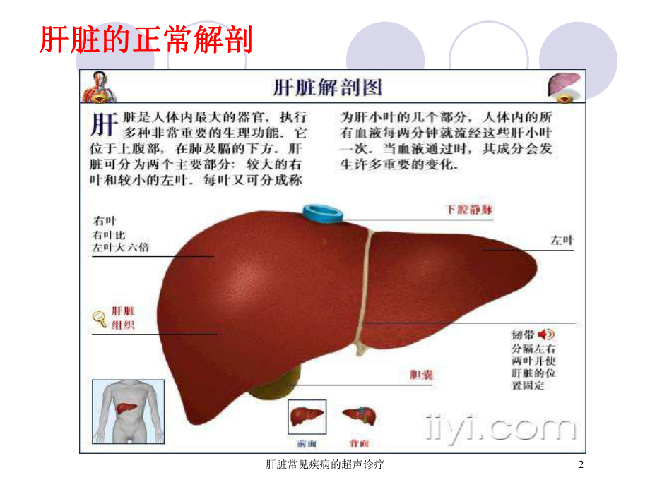 肝脏常见疾病的超声诊疗培训课件.ppt_第2页