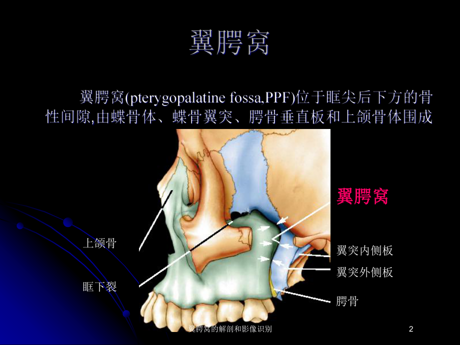 翼腭窝的解剖和影像识别培训课件.ppt_第2页