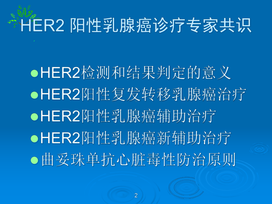 HER2阳性乳腺癌的治疗课件.ppt_第2页