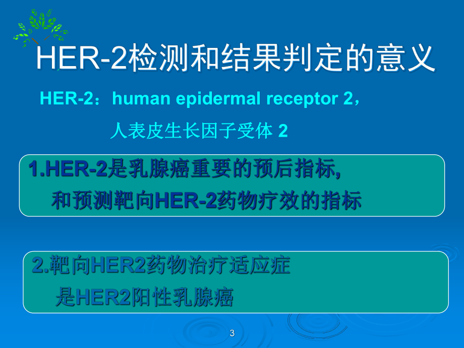 HER2阳性乳腺癌的治疗课件.ppt_第3页