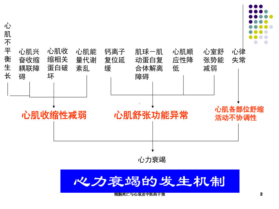 细胞死亡与心衰及中医药干预课件.ppt_第2页