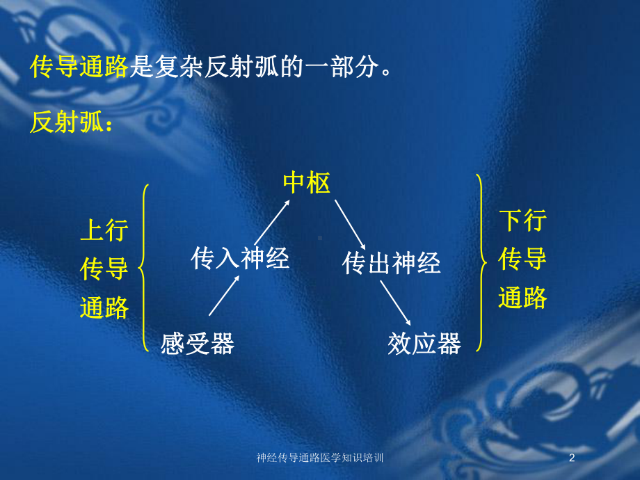 神经传导通路医学知识培训培训课件.ppt_第2页