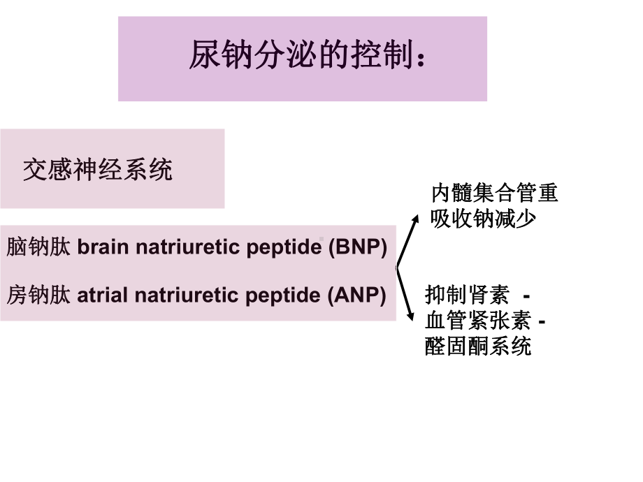 神经科低钠血症的诊断和治疗课件.ppt_第2页