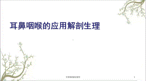 耳鼻咽喉解剖课件.ppt