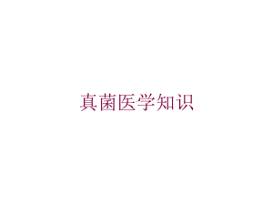 真菌医学知识培训课件.ppt