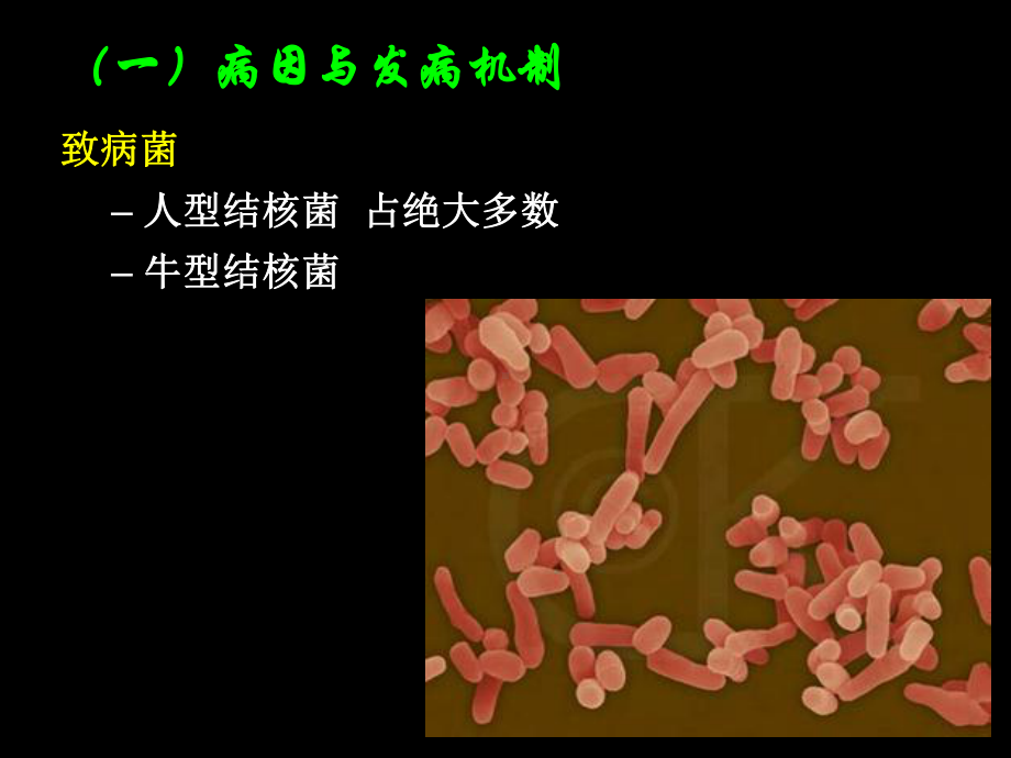 第六节-肠结核及结核性腹膜炎病人的护理课件.ppt_第3页