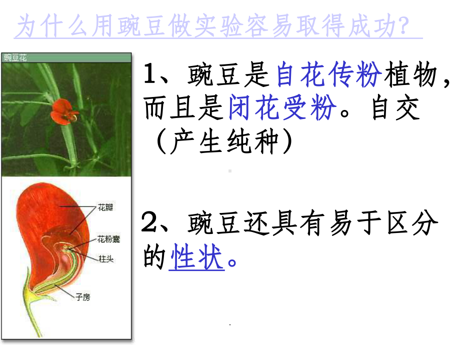 第一轮复习孟德尔豌豆杂交实验(一)课件.ppt_第3页