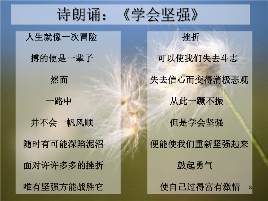 (精选班会)《为理想而努力》主题班会课件.ppt_第3页