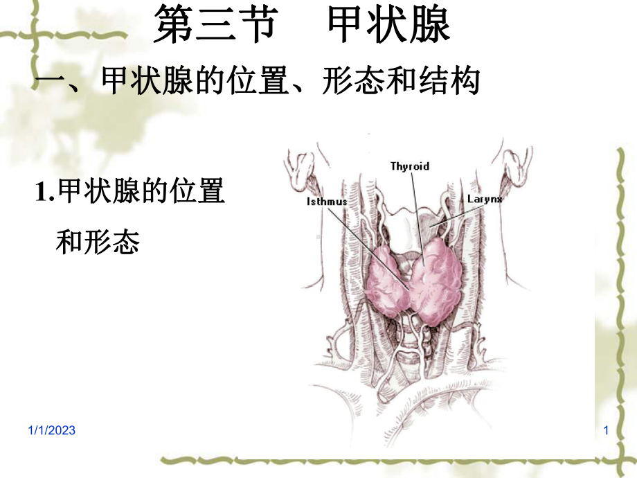 七章-内分泌2课件.ppt_第1页