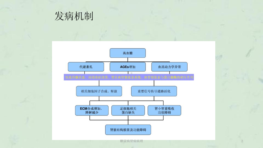 糖尿病肾病病理课件.ppt_第2页