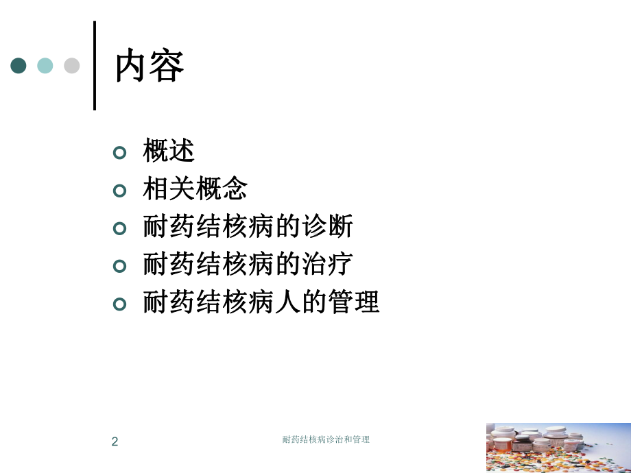 耐药结核病诊治和管理培训课件.ppt_第2页