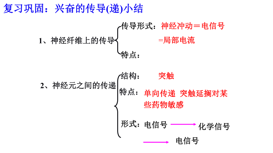 (新教材)神经系统的分级调节精美课件人教版1.ppt_第1页