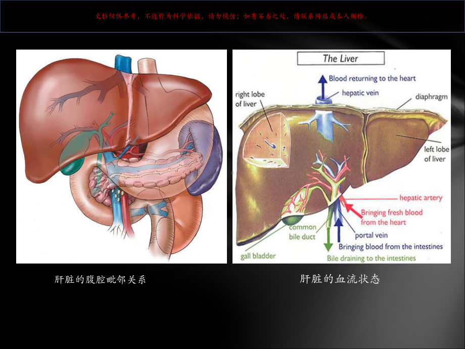 肝脏外科新概念和技术进展培训课件.ppt_第2页