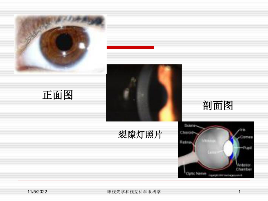 眼视光学和视觉科学眼科学培训课件.ppt_第1页