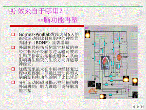 神经康复走进证据时代新版课件.pptx