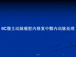 IIC腹主动脉瘤腔内修复中髂内动脉处理教案课件.pptx