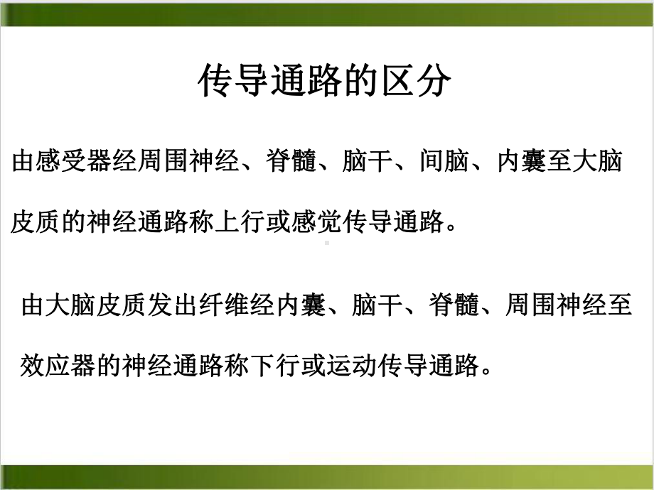 神经传导及常见疾病的定位诊断示范课件.ppt_第3页