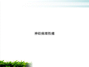 神经病理性痛课件.ppt