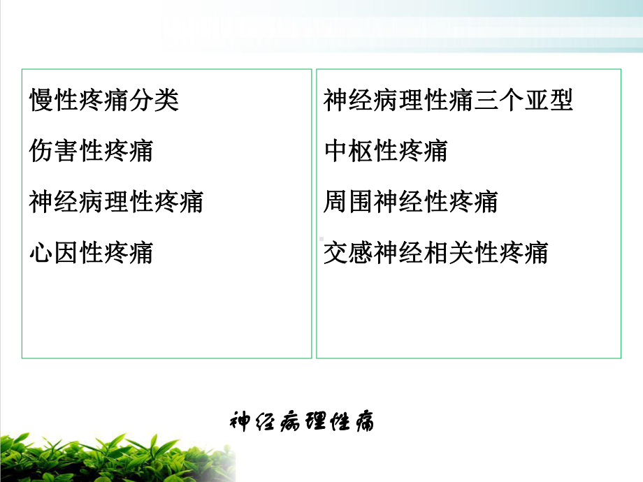 神经病理性痛课件.ppt_第3页