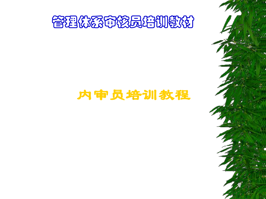 TS内审员培训教案课件.ppt_第1页