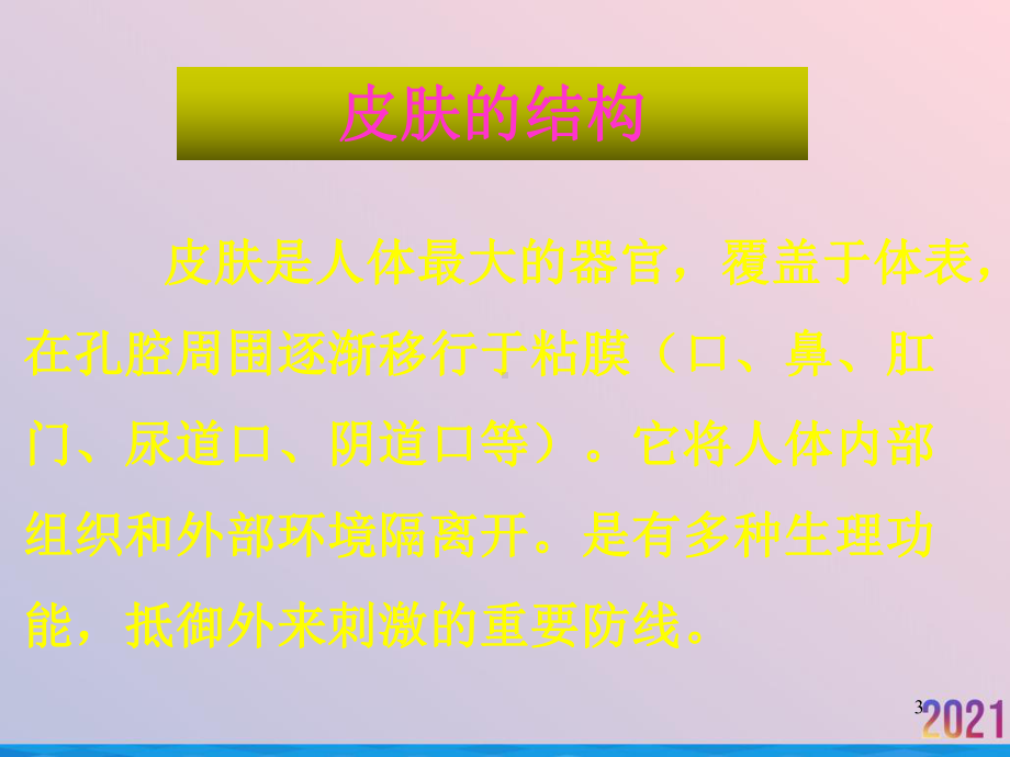 皮肤性病学多媒体教材总论课件.ppt_第3页