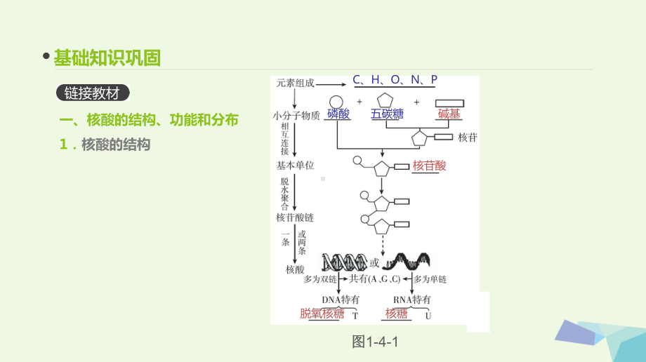 (全国版)18版高考生物一轮复习(基础知识巩固考点互动探究考例考法直击教师备用习题)第1单元走近细胞课件.ppt_第3页