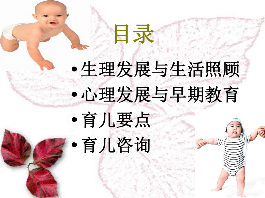 7-12个月婴幼儿的教养解析课件.ppt_第2页