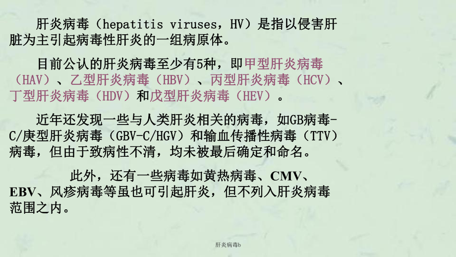 肝炎病毒b课件.ppt_第2页