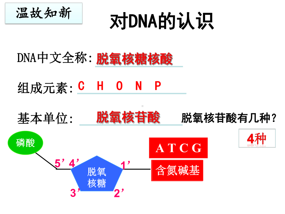 DNA分子的结构公开课课件.ppt_第1页