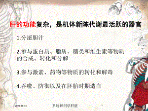 系统解剖学肝脏培训课件.ppt