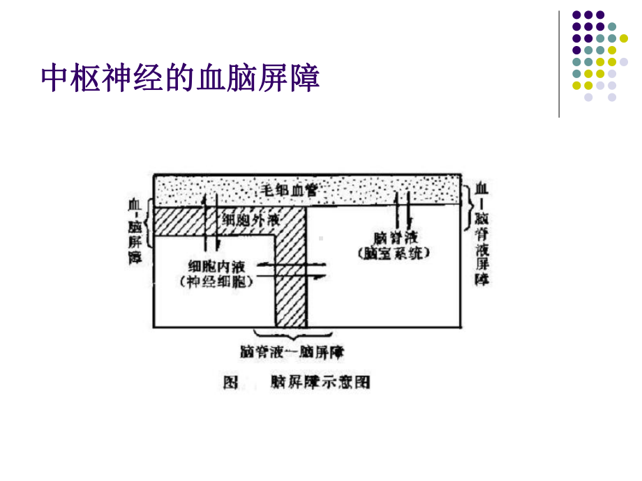 第二章中枢神经系统第一节镇静催眠药课件.pptx_第3页