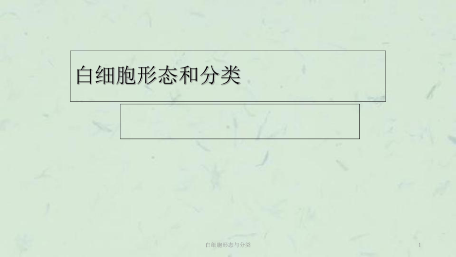 白细胞形态与分类课件.ppt_第1页