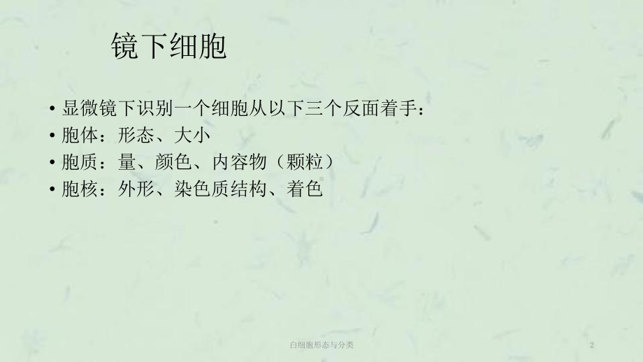 白细胞形态与分类课件.ppt_第2页