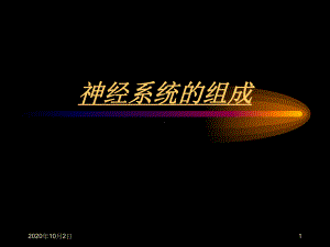 神经系统的组成和功能课件-2.ppt