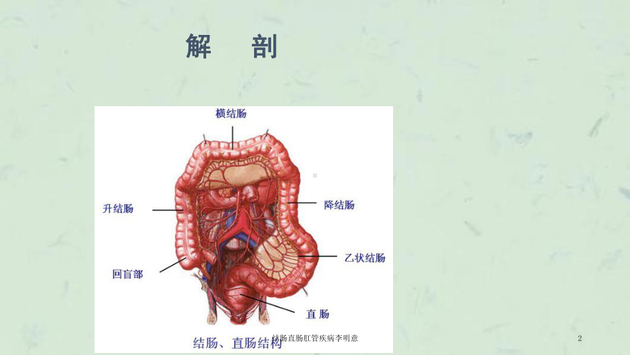 结肠直肠肛管疾病课件.ppt_第2页