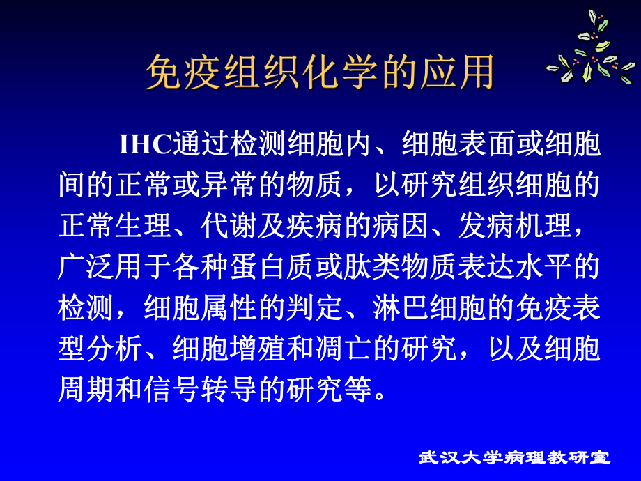 研究生免疫组织化学染色技术课件.pptx_第2页