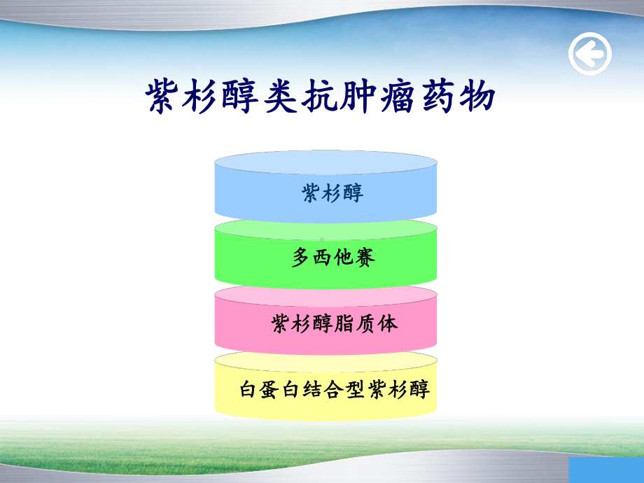 紫杉醇类抗肿瘤药物简介课件.ppt_第2页