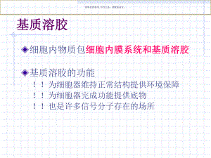 细胞的内膜系统专业知识讲解课件.ppt