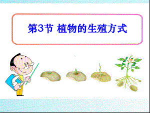 《植物的生殖方式》课件.pptx