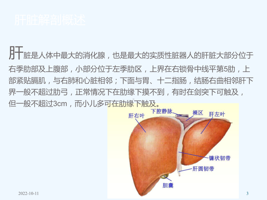 肝癌病人护理查房课件.pptx_第3页