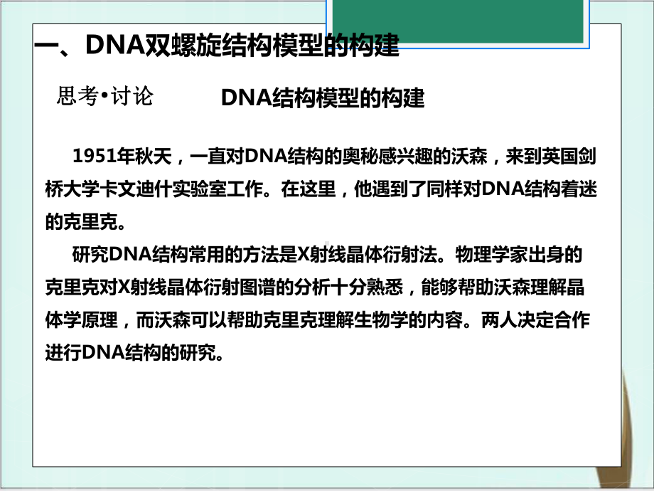 《DNA的结构》公开课课件高生物人教版1.ppt_第3页