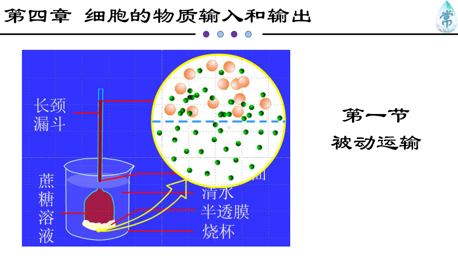 (新教材)被动运输教学课件人教版1.ppt_第2页