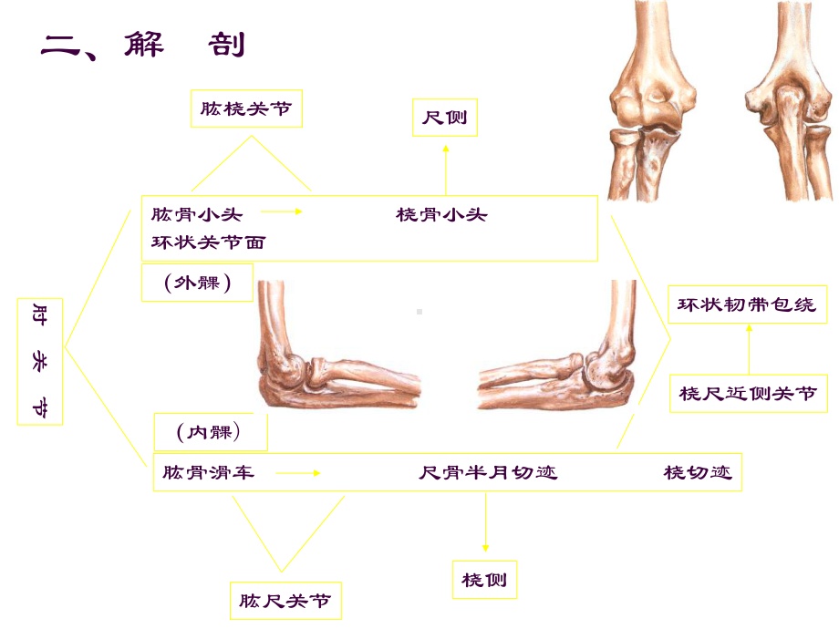 肘关节扭挫伤课件.ppt_第3页