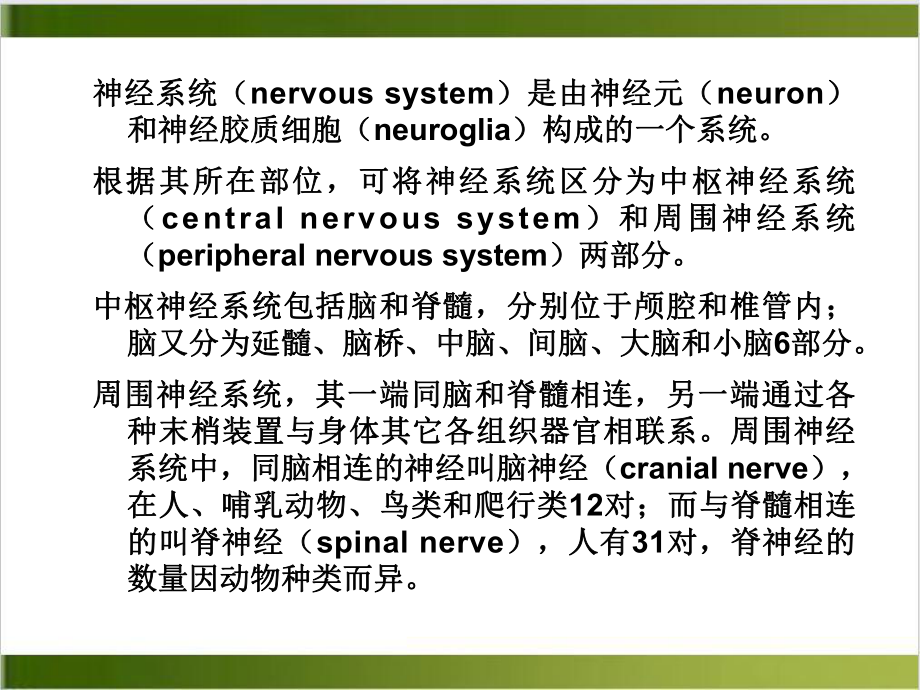 神经系统中枢培训课件.ppt_第3页