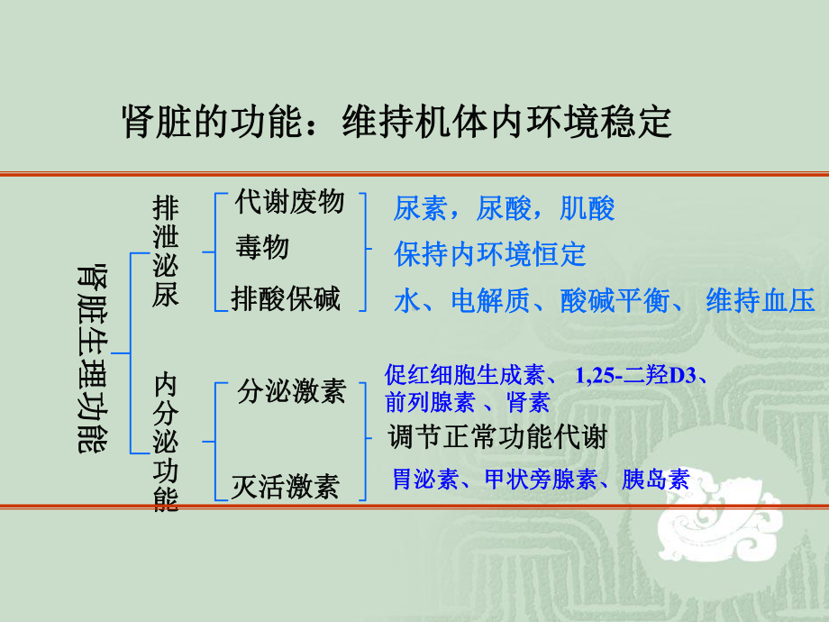 第十四章-泌尿系统病理生理学课件.ppt_第3页