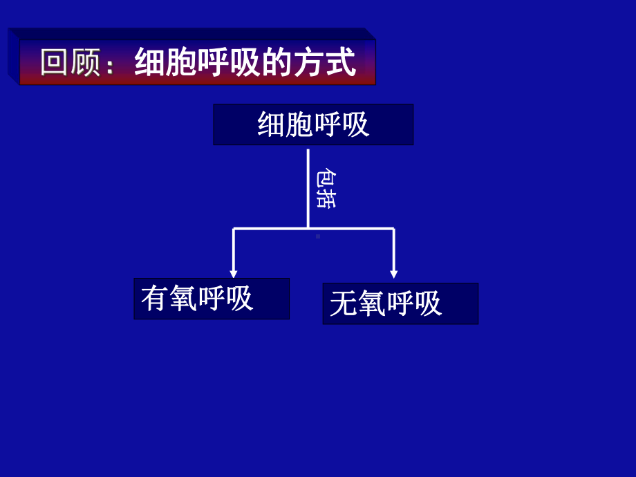 细胞呼吸2讲义课件.ppt_第3页