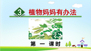 《植物妈妈有办法》教学课件部编版小学语文3.ppt